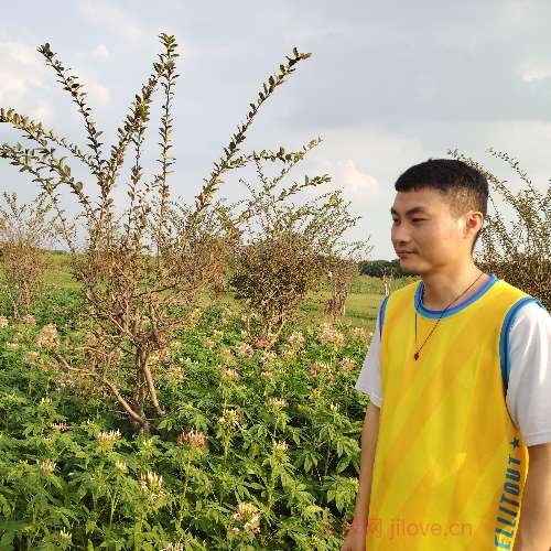 37岁岁广东单身帅哥 - 忻州吉缘网